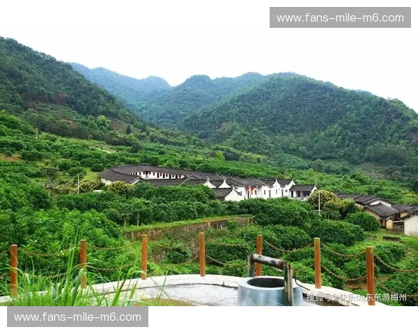 钱塘潮涌对撞锦江春色：杭州与成都，谁才是中国年轻人的“精神故乡”？