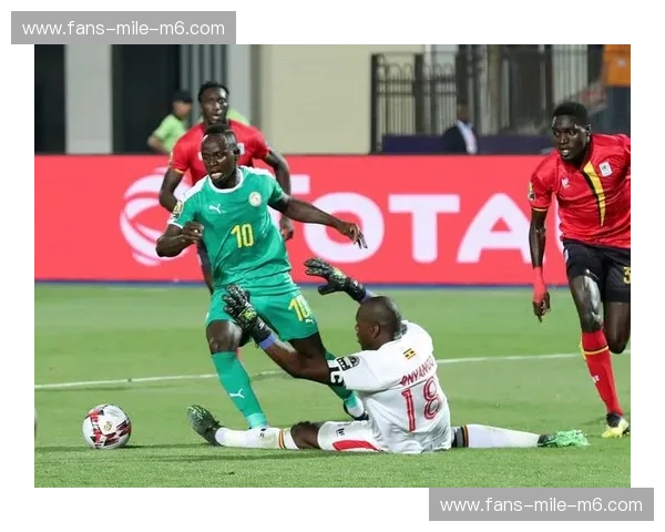 铁律与狂野的巅峰对决：瑞士vs厄瓜多尔全方位预测，谁才是绿茵场上的“冷面杀手”？