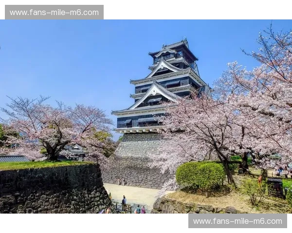 熊本的沉默之吼，京都的千年低语：一场跨越时空的对话